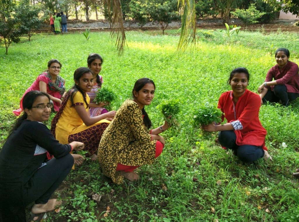 Volunteers helping farmers at 'Organic Mandya' farm