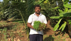 Madhucharan Chikkadebaiah at his Organic Fam