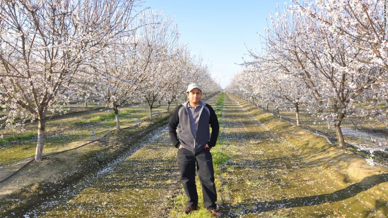 He created Google Alerts, now he is an Almond Farmer