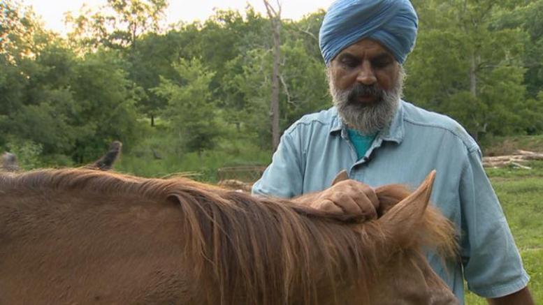 Police investigating execution of Sikh’s horse in Tennessee