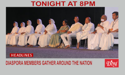Diaspora members gather