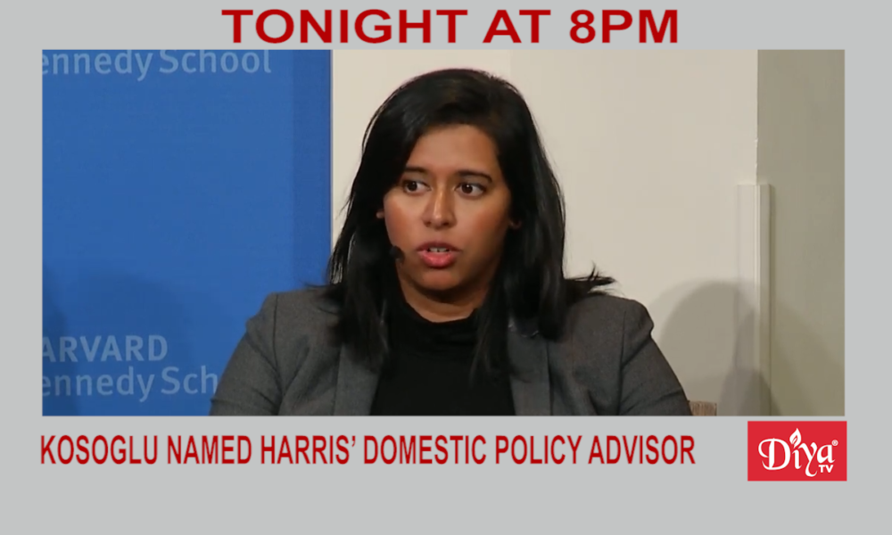 Rohini Kosoglu named Harris’ domestic policy advisor | Diya TV News