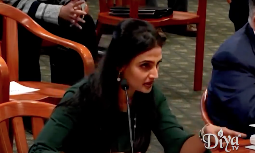Full Hima Kolanagireddy testimony before Michigan House alleging election fraud