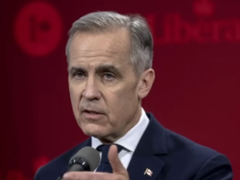 Mark Carney wins Liberal leadership, stages high-stakes Canadian election