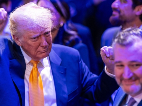 Report: Sen. Ted Cruz Blames Trump Team for Stalled India Trade Deal