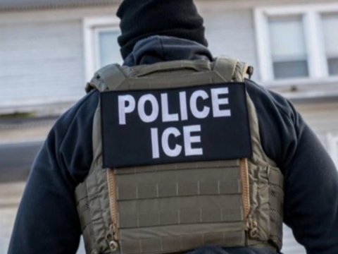 DHS directs ICE to pursue immigration lawyers over false asylum claims
