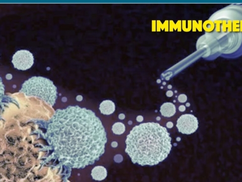 Daraxonrasib boosts survival in landmark Pancreatic cancer trial