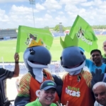 Seattle Orcas lead push for King County Cricket Community Park