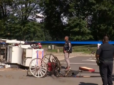 18 year old tourist from India dies in Central Park carriage accident