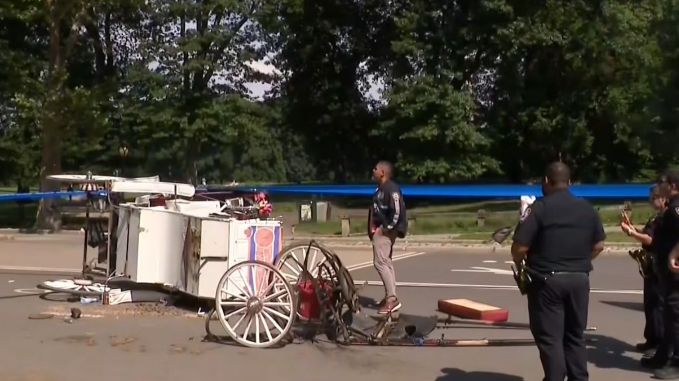 18 year old tourist from India dies in Central Park carriage accident