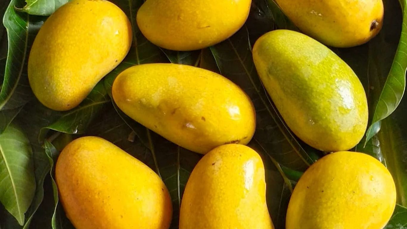 Indian Mango Festival draws huge crowds in Washington