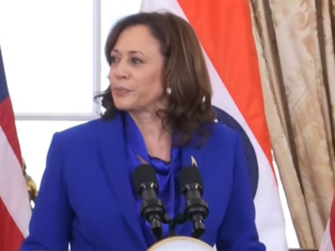 Kamala Harris builds progressive ties as 2028 Buzz grows 