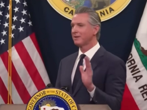 Alexis Podesta emerges as key FBI witness in California probe